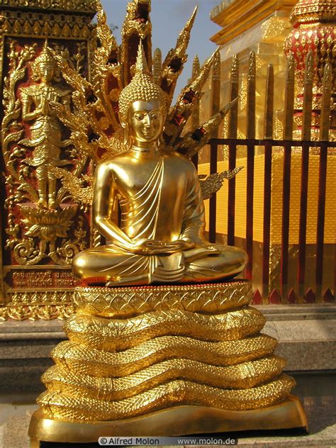Photo Of Golden Buddha Statue Doi Suthep Thailand