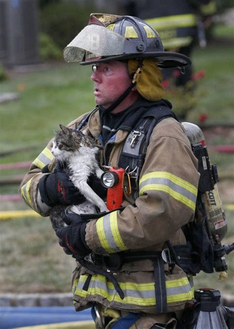 Firefighters Rescue Cat From Devastating Fire Life With Cats