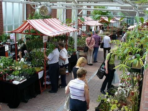Januar 2022 von 16:30 uhr bis 22:00 uhr im botanischen garten. Kakteentage im Botanischen Garten - Berlin.de