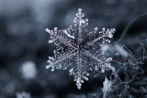 Artistic Snowflake Hd Wallpaper