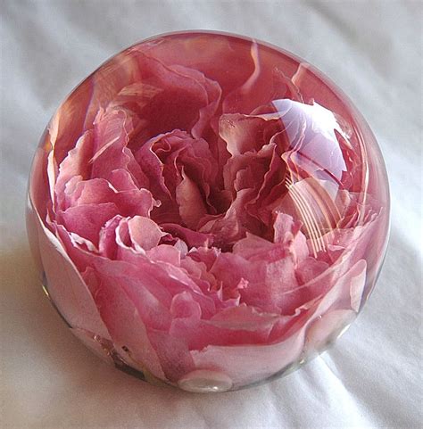 How to preserve a rose in resin? Flower-Preservation-Workshop-paperweight.jpg 907×922 ピクセル ...