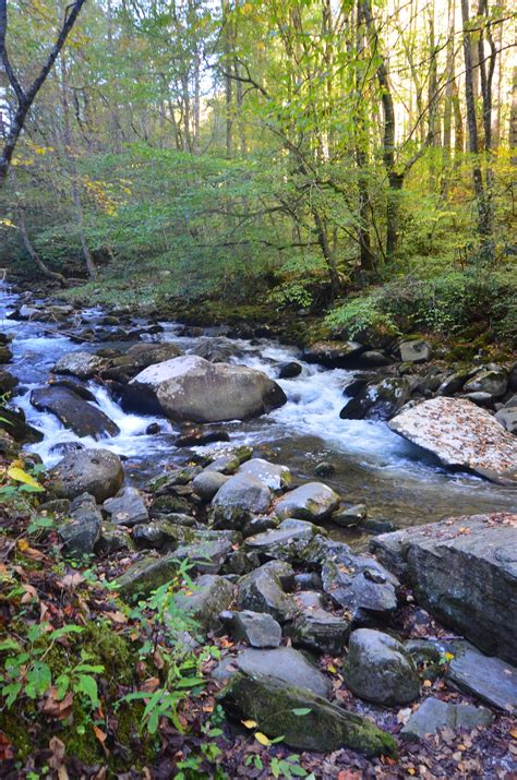 Oconaluftee River, Great Smoky Mountains, near Cherokee and Bryson City