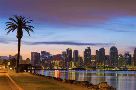 San Diego Downtown Skyline And Palm Tree At Dawn Kpi Logistics