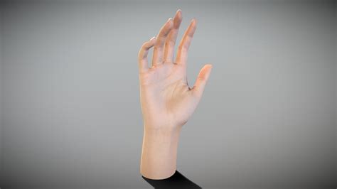 3d Hand Model Download