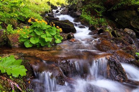 A Gorgeous Mountain Waterfall Flows Among Green Forest And Runs Down