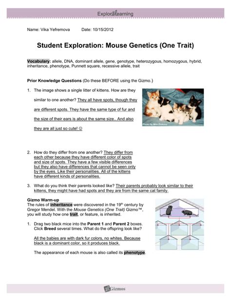 Relevant to student exploration chicken genetics answer key , encouraging website visitors to arrive. Student exploration mouse genetics one trait answer key ...