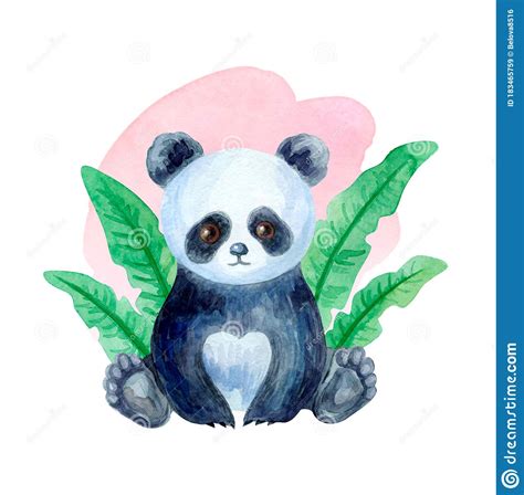 Cute Panda Bear Hand Painted Watercolor Illustration Stock