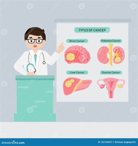 Types Of Ovarian Cysts Set Infographics Vector Illustration On