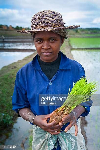 madagascar women photos and premium high res pictures getty images