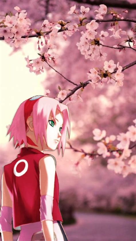 Sakura Haruno Wallpapers