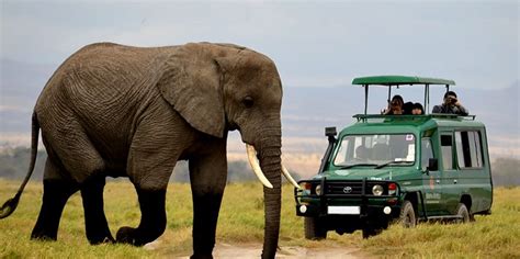 Activities In Akagera National Park Rwanda Wildlife Safari