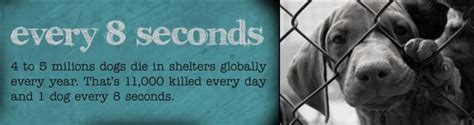 Save a copy of the completed form to your local drive. Chicago Pet Rescue - Dogs