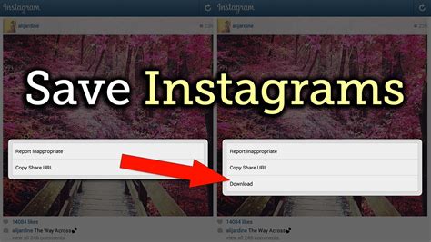 Once you input the link into the field and click to add the image, you'll automatically see it appear in your photo albums. Download & Save Any Instagram Photo or Video You Want ...
