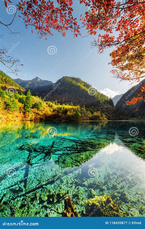 Scenic View Of The Five Flower Lake Among Colorful Fall Woods Stock