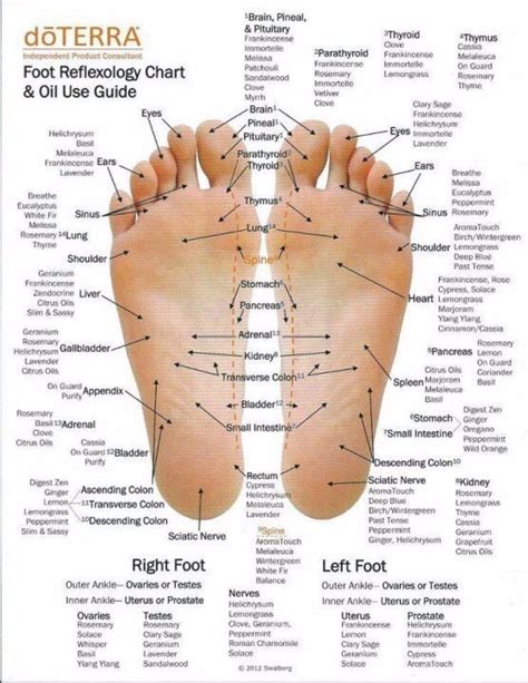 Printable High Resolution Foot Reflexology Chart Reflexology Foot Chart Sexiz Pix