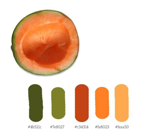 Melon Color Palette Food Colors Palette Cantaloupe And Melon Color