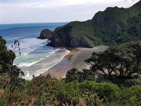 Piha Ocean Lookout Bewertungen And Fotos Neuseeland Tripadvisor