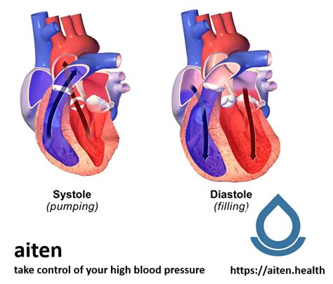 Systolic Blood Pressure Lab Tests Guide
