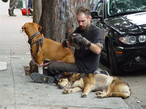 Homeless With Dogs Homeless With Dogs Haight Street San Fr Franco