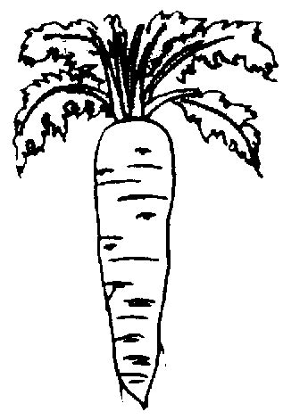 Corn black and white clipart free download! Carrot Clipart - Clipartion.com