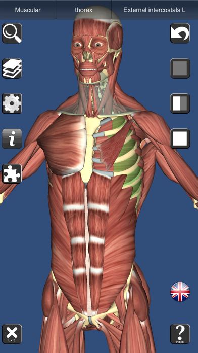 3d Anatomy Learning Medicinapps
