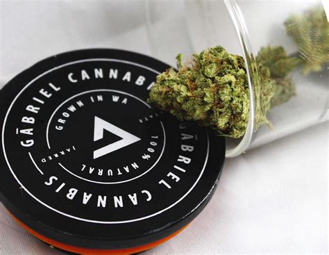 7 Ways To Promote Your Cannabis Brand Without Paid Advertising Hybridla