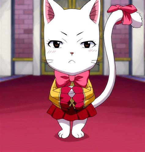 Best Cats Ever Anime Amino
