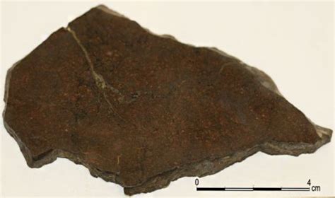 Метеорит Dhofar 864 Музей истории мироздания