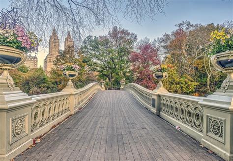 Bow Bridge Central Park Autumn Stock Photo Image Of Tourism Landmark