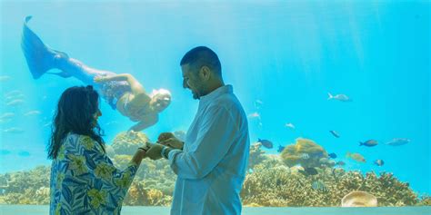 An Underwater Wedding Proposal In The Maldives Arabia Weddings