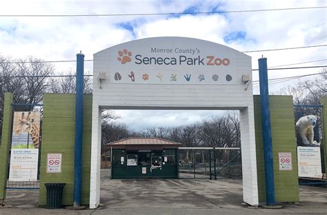 Seneca Park Zoo Closed Effective March 14 2020 Seneca Park Zoo