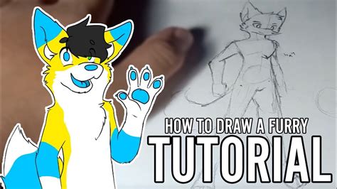 How To Draw A Furry Tutorial 1 YouTube