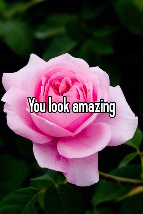 You Look Amazing