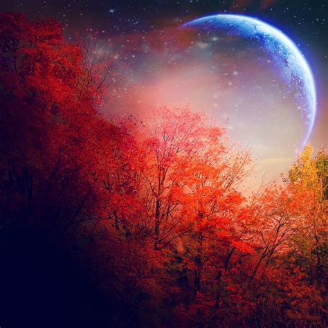 Download Autumn Night Wallpaper Hd Wallpapers Book Your 1 Source