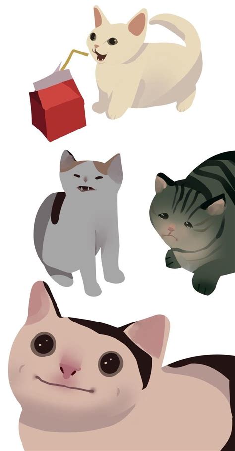 Polite Cat With Others Polite Cat Know Your Meme
