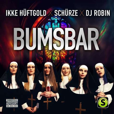 Ikke Hüftgold Schürze DJ Robin Bumsbar Single CD jpc