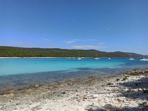 Compare 23 hotels near sakarun beach in soline using 0 real guest reviews. Sakarun Beach (Dugi Island): AGGIORNATO 2020 - tutto ...
