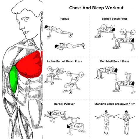 If you have the free weights, you need to decide on if you want to put on muscle size or increase strength. 98 best images about Useful For The Gym on Pinterest | Leg ...