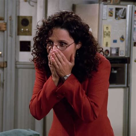 Elaine Benes Iconic Seinfeld Character