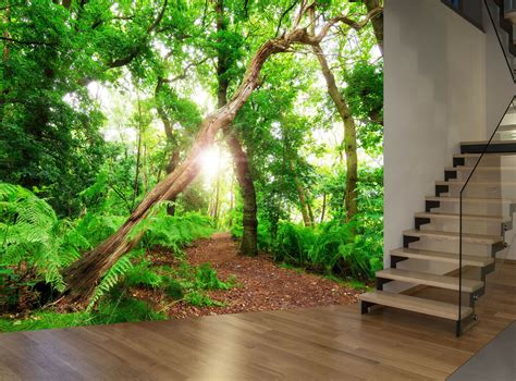 Forest Trees Nature Plant Green Wall Mural Photo Wallpaper Giant Wall Decor Ebay