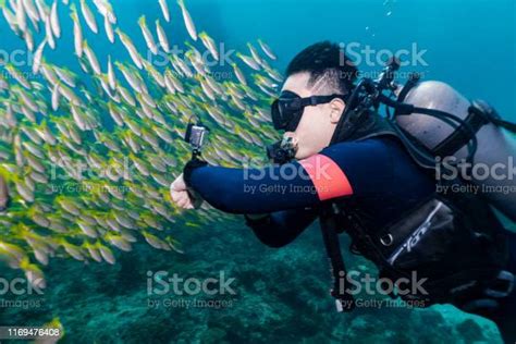 Asian Man Scuba Diving Through School Of Fish With Underwater Wearable