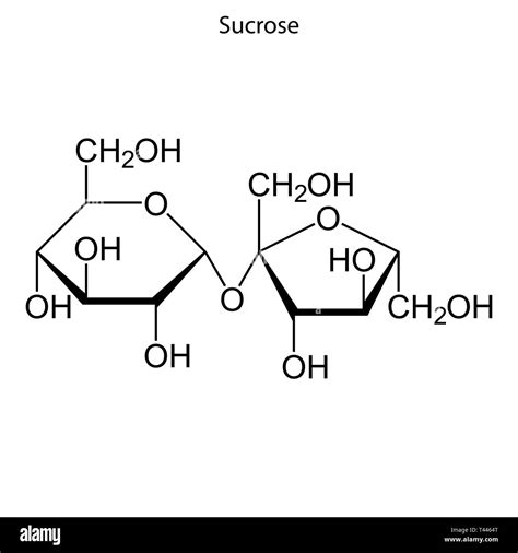 Skeletal Formula Of Sucrose Chemical Molecule Stock Vector Image Art