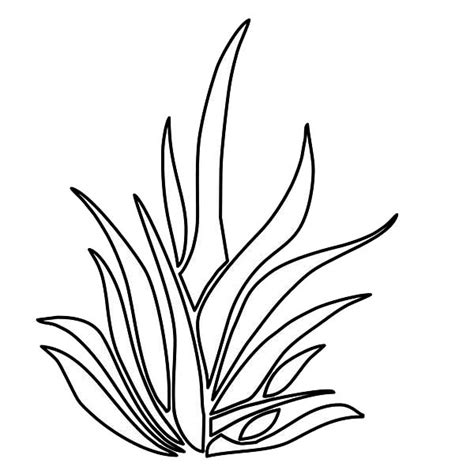 Maybe you would like to learn more about one of these? Grass Growing Thrives Plants Coloring Page : Coloring Sky