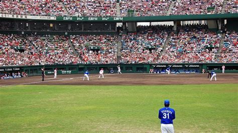 Baseball In Japan