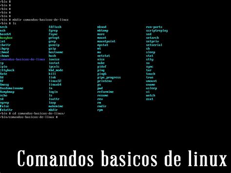 Comandos básicos de linux que todo principiante debe conocer
