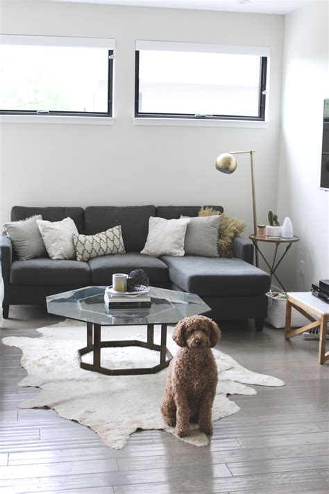 Creating a Chic + Functional Dog Friendly Living Room Living Room Decor