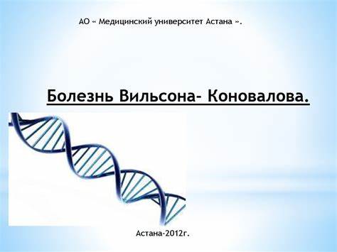 Болезнь Вильсона- Коновалова - презентация онлайн Картинка - Болезнь Вильсона- Коновалова - презентация онлайн