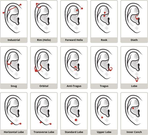 Ear Piercing Healing Process