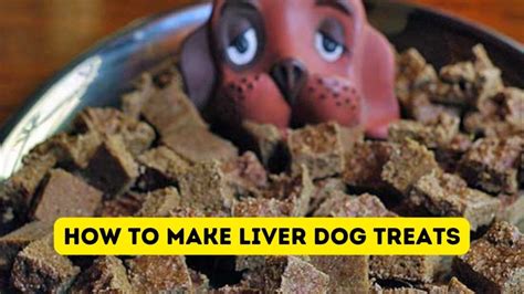 Homemade Liver Treats For Dogs Easy Recipe