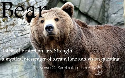 What Does The Spirit Bear Symbolize Bear Symbolism 18 Spiritual